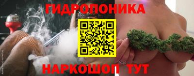 СК Можга