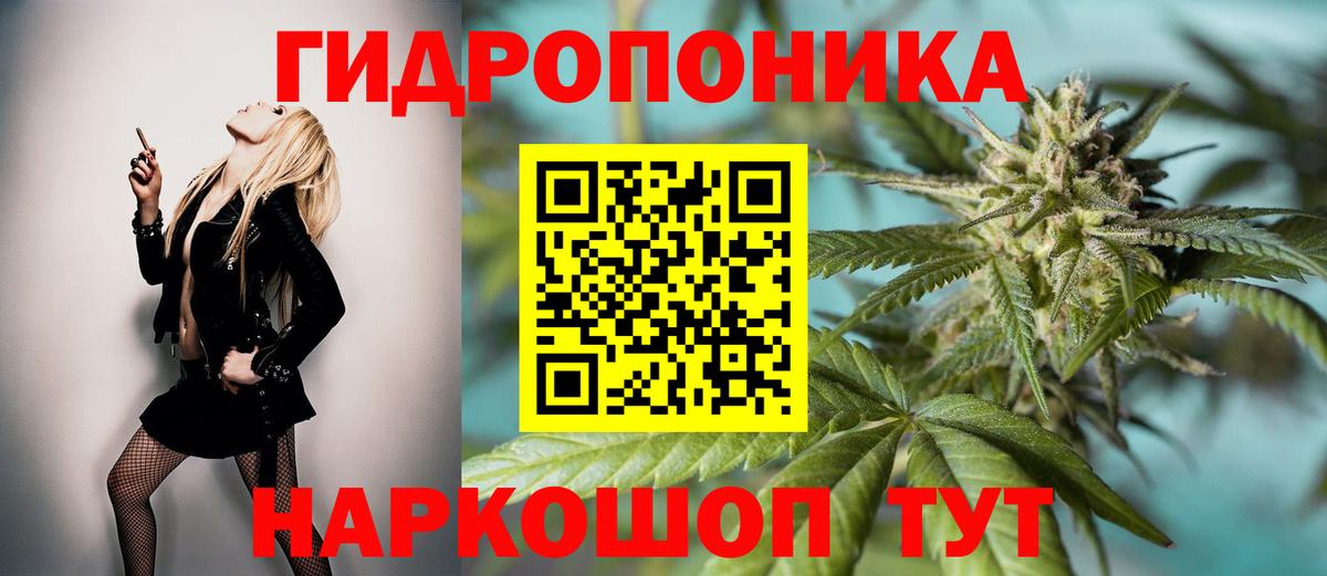 Бошки марихуана White Widow Фурманов